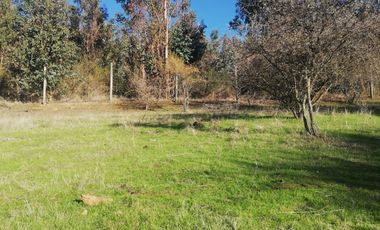 SE VENDE PARCELA CERCADA A ORILLA DE CAMINO 5000 M2