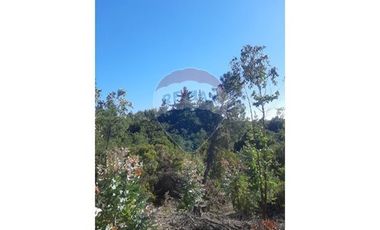 106 HECTÁREAS FLORIDA UBICACIÓN ESTRATÉGICA