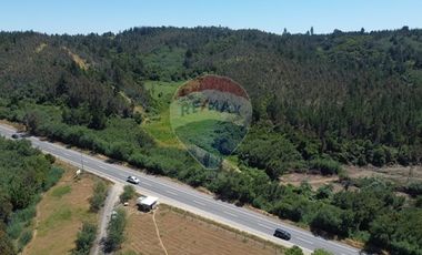 106 HECTÁREAS FLORIDA UBICACIÓN ESTRATÉGICA