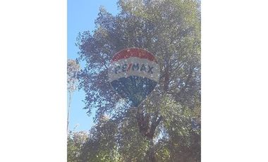 106 HECTÁREAS FLORIDA UBICACIÓN ESTRATÉGICA