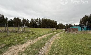Parcela en Venta en Camino Villarrica Loncoche Sector Los Nogales