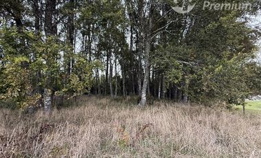 Parcela en Venta en Camino Villarrica Loncoche Sector Los Nogales