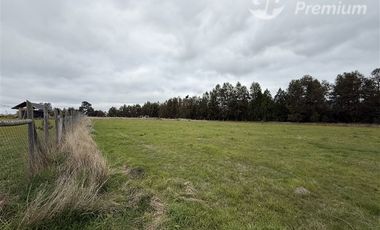 Parcela en Venta en Camino Villarrica Loncoche Sector Los Nogales