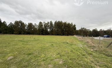Parcela en Venta en Camino Villarrica Loncoche Sector Los Nogales