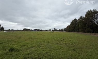 Parcela en Venta en Camino Villarrica Loncoche Sector Los Nogales