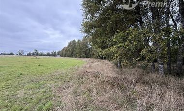 Parcela en Venta en Camino Villarrica Loncoche Sector Los Nogales