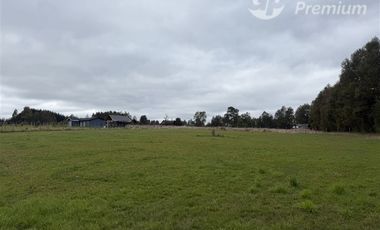 Parcela en Venta en Camino Villarrica Loncoche Sector Los Nogales