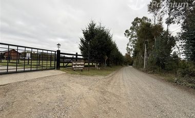 Parcela en Venta en Camino Villarrica Loncoche Sector Los Nogales