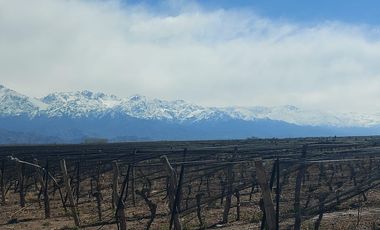 VENTA FINCA SAN CARLOS