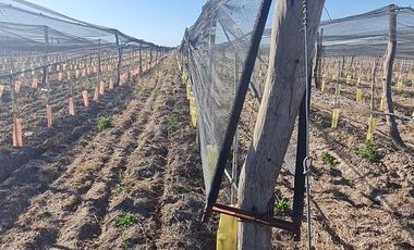VENTA FINCA SAN CARLOS