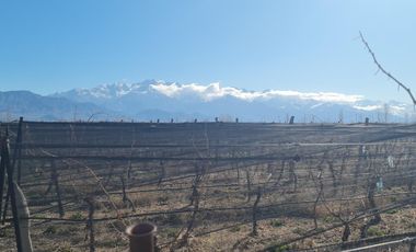 VENTA FINCA SAN CARLOS