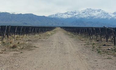 VENTA FINCA SAN CARLOS
