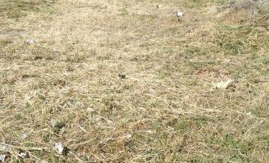 Venta de Terreno 990 m2, Confluencia Rural, Neuquen Capital.