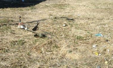 Venta de Terreno 990 m2, Confluencia Rural, Neuquen Capital.