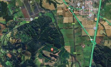 PREDIO AGRÍCOLA CON SUPERFICIE DE 95 HECTÁREAS PICHI- CANCUR