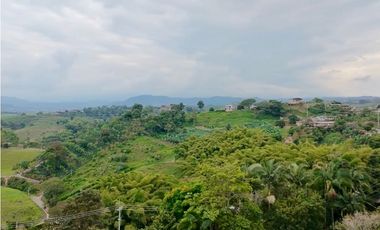 VENTA FINCA CASA ESTERILLA  EN PEREIRA VA ALTAGRACIA