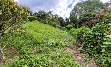 VENTA FINCA CASA ESTERILLA  EN PEREIRA VA ALTAGRACIA