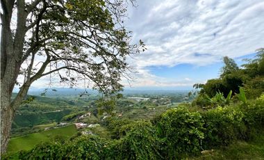 VENTA FINCA CASA ESTERILLA  EN PEREIRA VA ALTAGRACIA