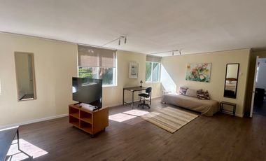 Amoblado 1D+1B recién remodelado