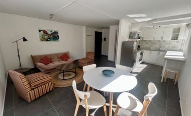 Amoblado 1D+1B recién remodelado