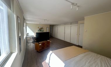 Amoblado 1D+1B recién remodelado