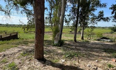 VENTA DE CASA QUINTA SOBRE LAGUNA LOS NARANJOS