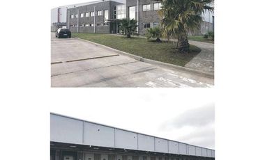 Depósito - 5.000 m2 - 