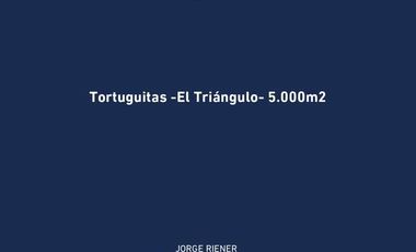 Depósito - 5.000 m2 - 