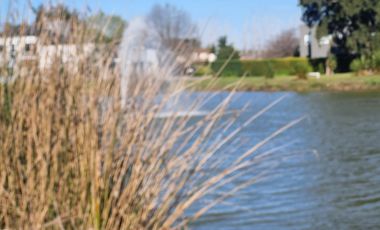 VENTA, CASA, LA CANDIDA CLUB DE CAMPO al 100