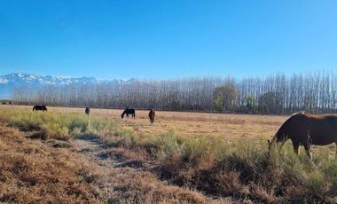 Terreno en Totoral