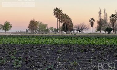 Finca en Rawson