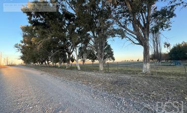 Finca en Rawson
