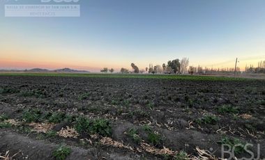 Finca en Rawson