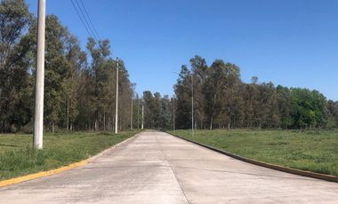 Galpón en Moreno