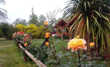 ¡TU NUEVA VIDA COMIENZA EN PAINE!