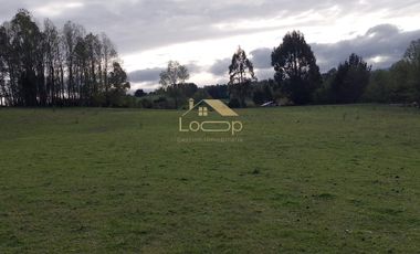 Oportunidad unica, parcelas en tegualda