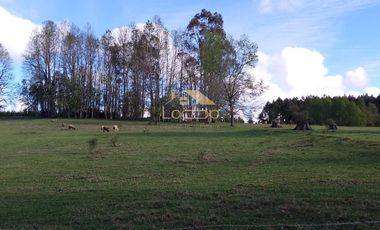 Oportunidad unica, parcelas en tegualda