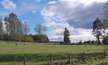 Oportunidad unica, parcelas en tegualda