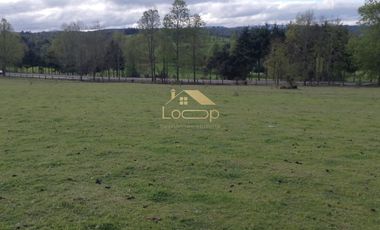 Oportunidad unica, parcelas en tegualda