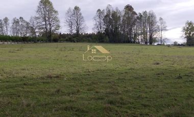 Oportunidad unica, parcelas en tegualda