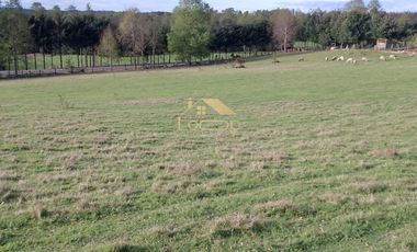 Oportunidad unica, parcelas en tegualda