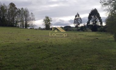 Oportunidad unica, parcelas en tegualda