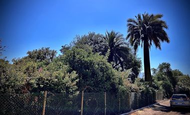 VENTA PARCELA EL TAMBO: 5.000m² PLANOS, URBANIZADA