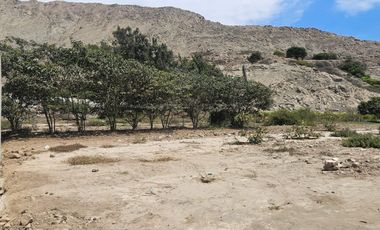 Venta de Terreno en Pachacamac