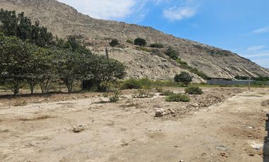 Venta de Terreno en Pachacamac