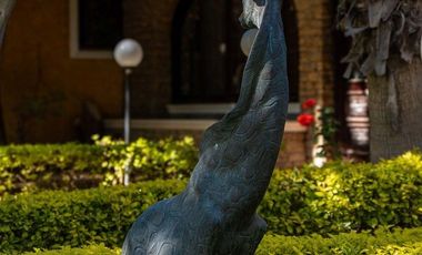 VENDO EXCLUSIVA QUINTA EN TEHUACÁN - PUEBLA