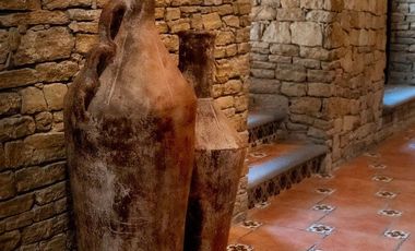 VENDO EXCLUSIVA QUINTA EN TEHUACÁN - PUEBLA