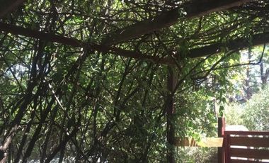 Casa - Venado  II