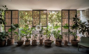 Departamento con terraza y balcón Roma Norte
