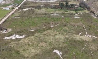 Chacra de 12 has en Pehuajó